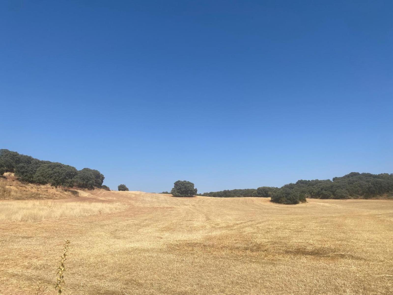 Casa Rural El Contarin - An Andalusian Escape, Archidona, Malaga ภายนอก รูปภาพ