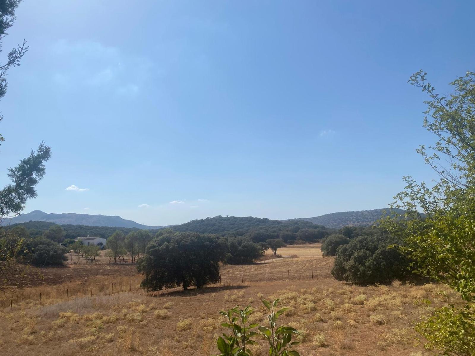 Casa Rural El Contarin - An Andalusian Escape, Archidona, Malaga ภายนอก รูปภาพ